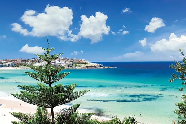 Australia: Sydney Bondi Beach by Melanie Viola