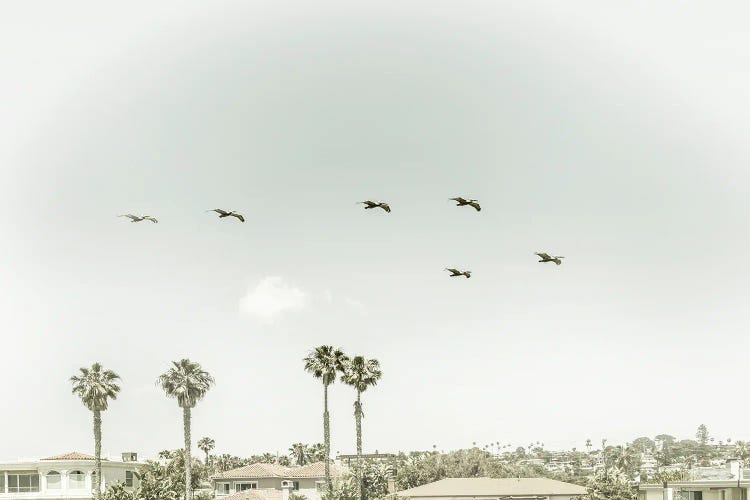 Above The Rooftops Of San Diego | Vintage