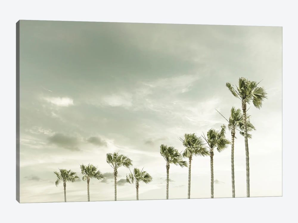 Vintage Palm Trees At The Beach by Melanie Viola 1-piece Art Print