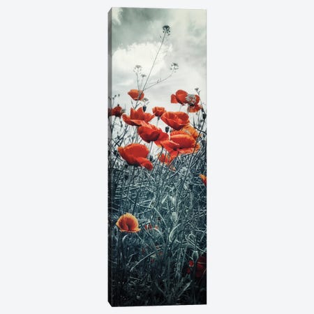 Lovely Poppy Field | Vertical Panorama Canvas Print #MEV573} by Melanie Viola Canvas Wall Art
