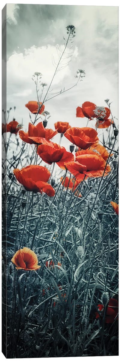 Lovely Poppy Field | Vertical Panorama Canvas Art Print - Wildflowers