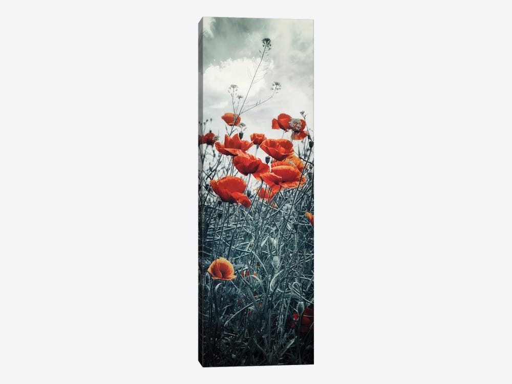 Lovely Poppy Field | Vertical Panorama by Melanie Viola 1-piece Canvas Art