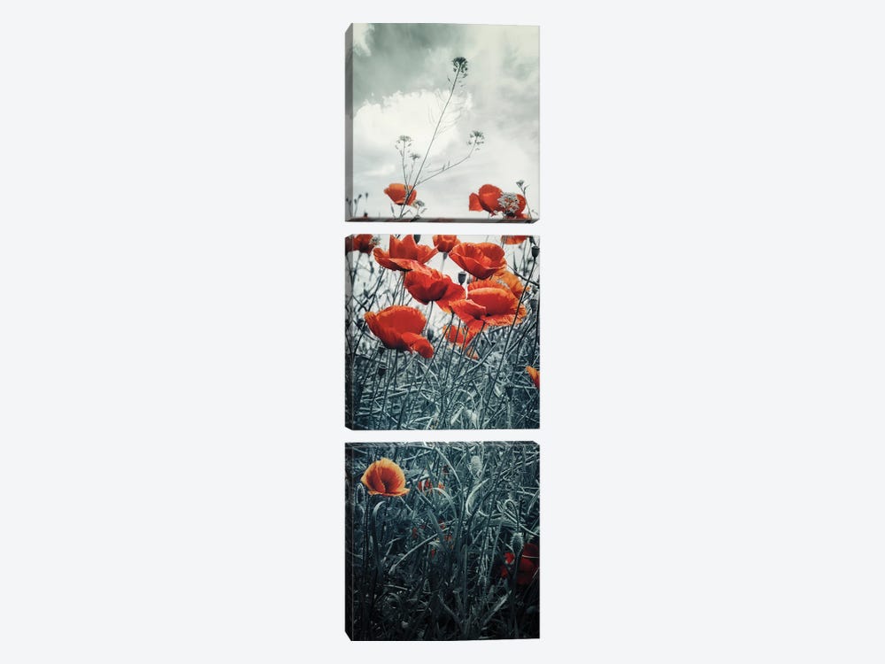 Lovely Poppy Field | Vertical Panorama by Melanie Viola 3-piece Canvas Art