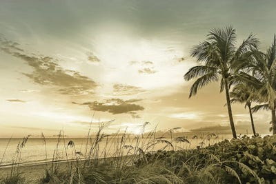 Bonita Beach Sunset by Melanie Viola canvas print