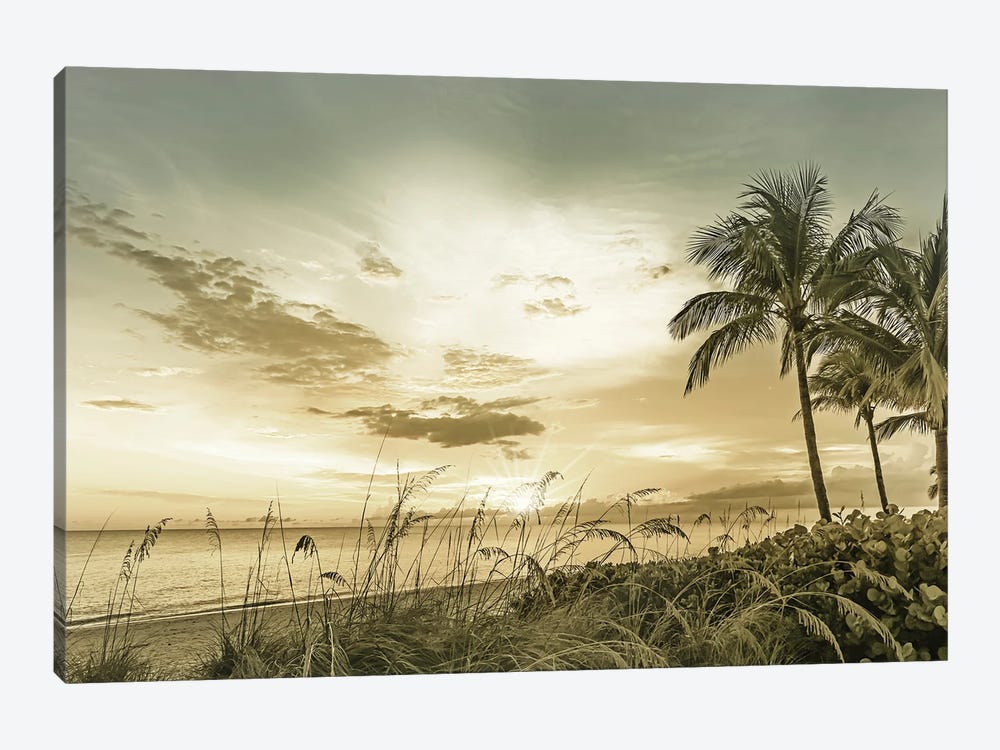 Bonita Beach Sunset by Melanie Viola 1-piece Canvas Print