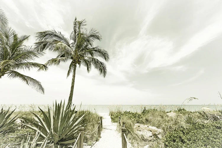 Alone At The Beach