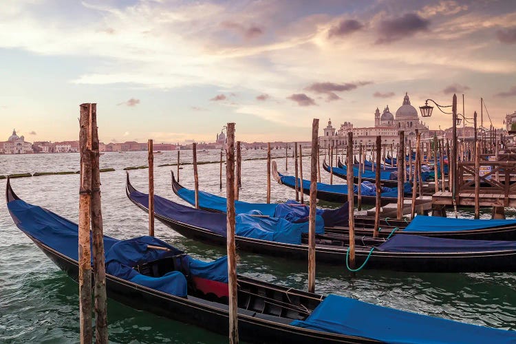 Venice Gondolas & Santa Maria Della Salute