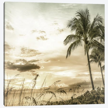 Bright Vintage Sunset At Bonita Beach Canvas Print #MEV638} by Melanie Viola Canvas Print