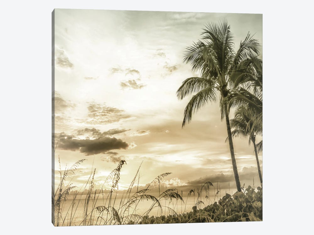 Bright Vintage Sunset At Bonita Beach by Melanie Viola 1-piece Art Print