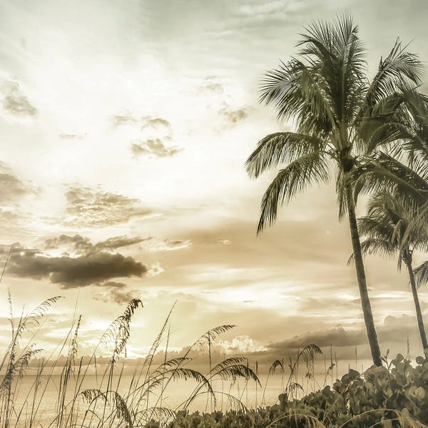 Florida Beaches: Bright Vintage Sunset At Bonita Beach by Melanie Viola