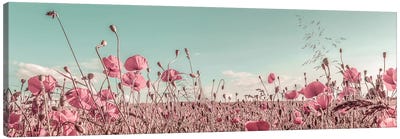 Lovely Poppy Field | Vintage Canvas Art Print - Melanie Viola