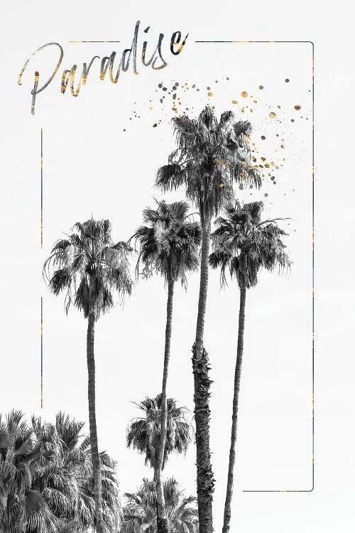 Palm Trees Impression | Paradise