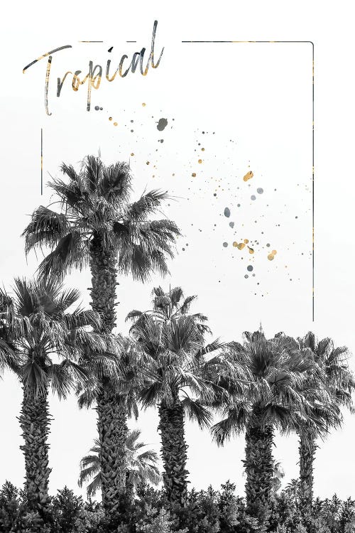 Palm Trees Impression | Tropical