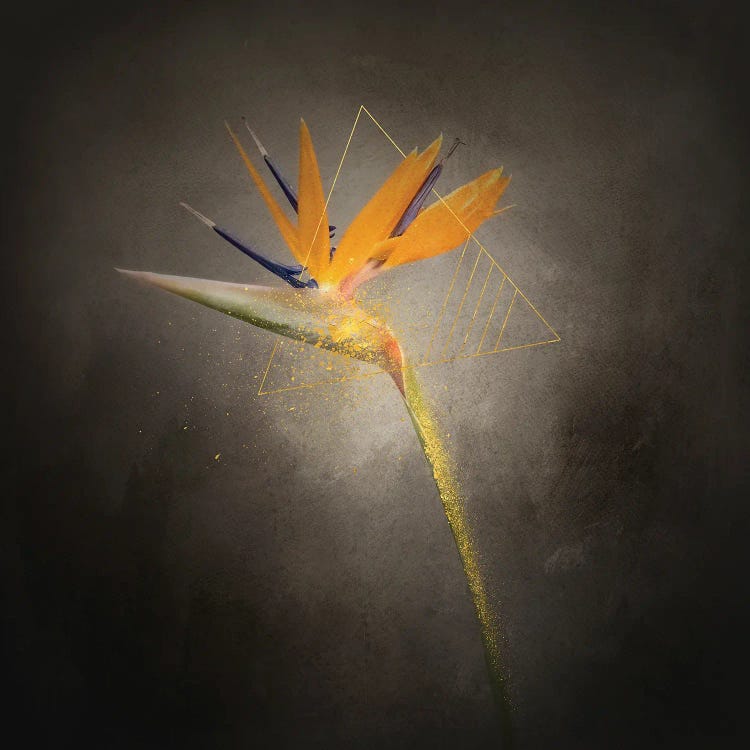 Lovely Flower - Strelitzia | Vintage Style Gold