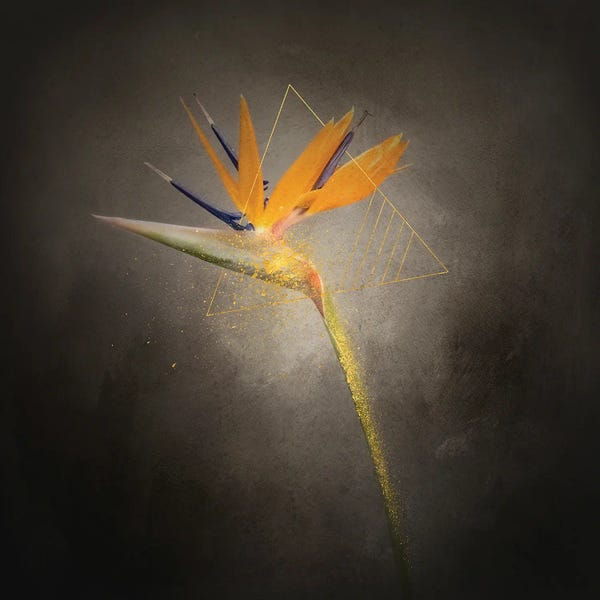 Lovely Flower - Strelitzia | Vintage Style Gold