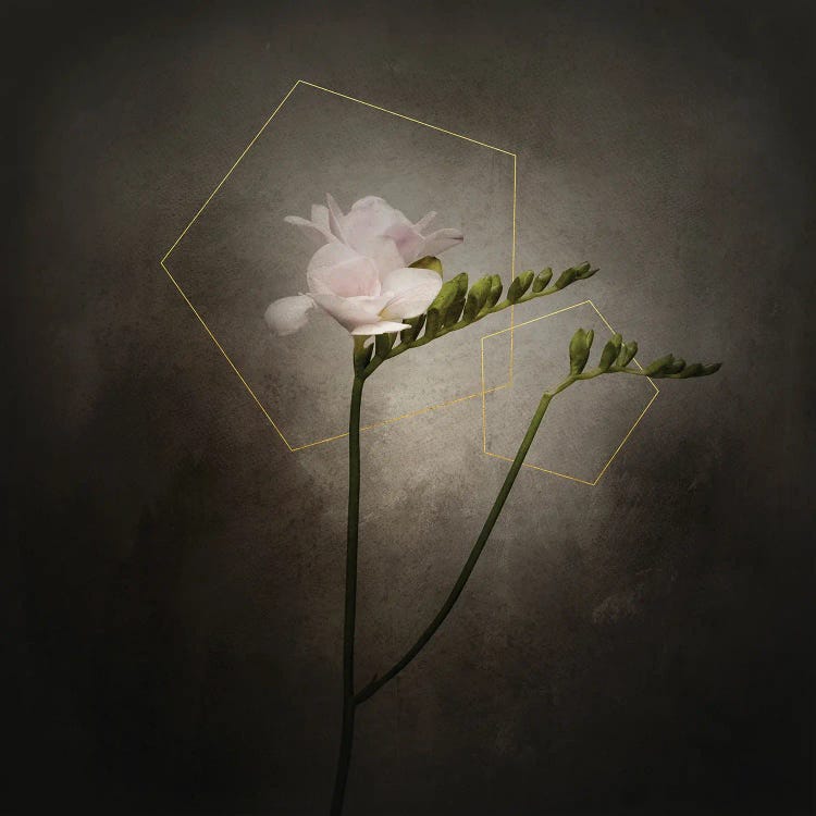 Graceful Flower - Freesia | Vintage Style Gold by Melanie Viola wall art