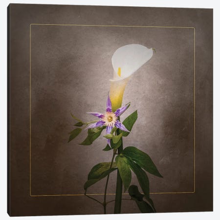 Graceful Flowers - Calla And Clematis | Vintage Style Gold Canvas Print #MEV742} by Melanie Viola Art Print