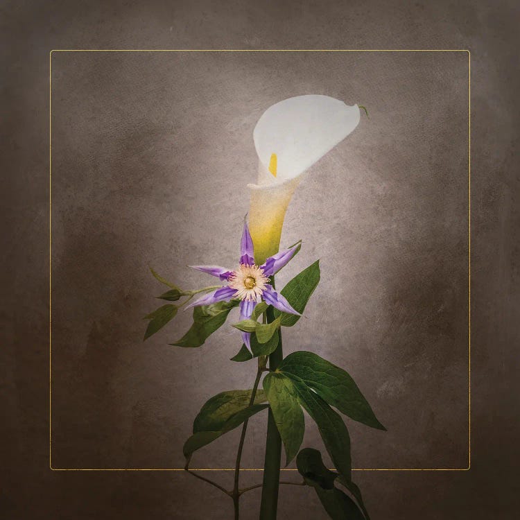 Graceful Flowers - Calla And Clematis | Vintage Style Gold