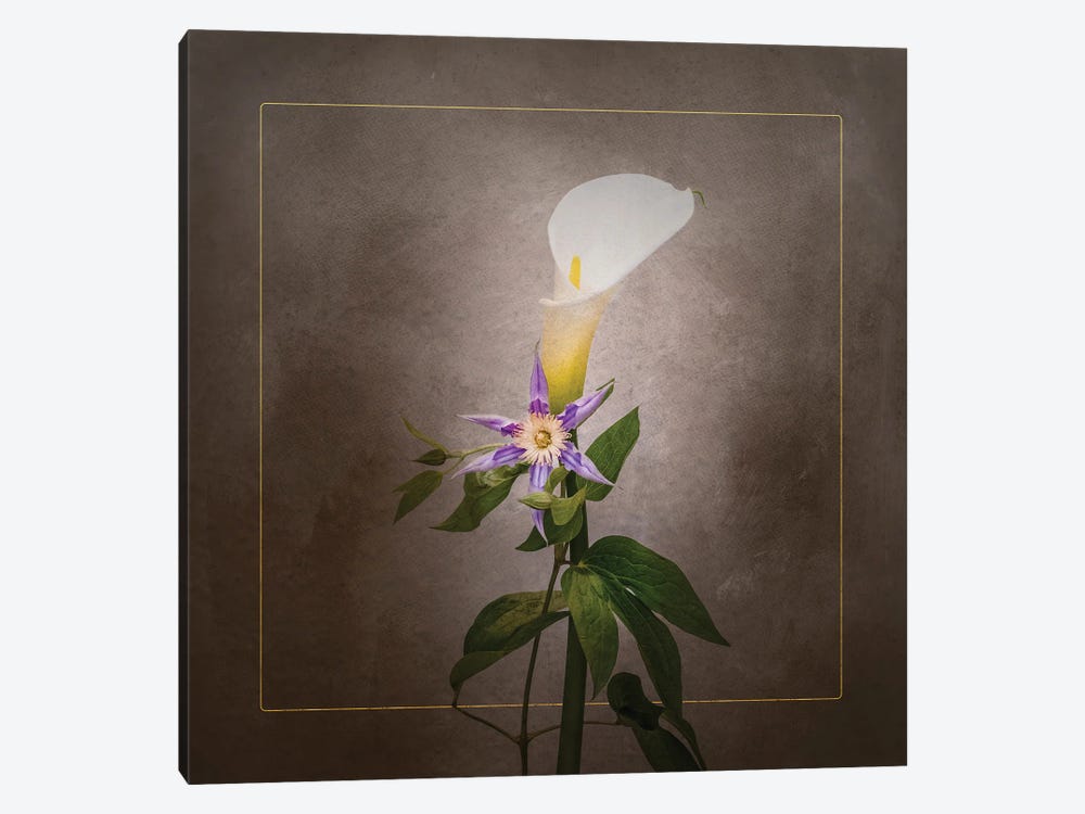 Graceful Flowers - Calla And Clematis | Vintage Style Gold by Melanie Viola 1-piece Canvas Print