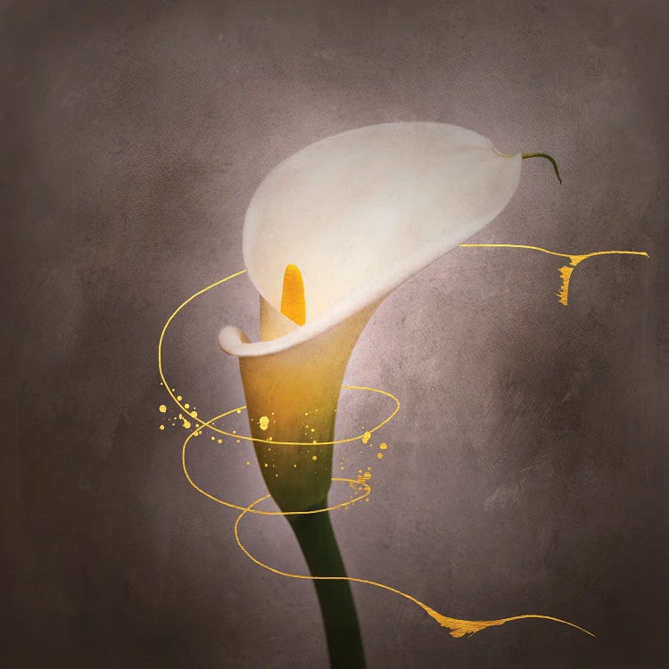 Graceful Flower - Calla No. 4 | Vintage Style Gold