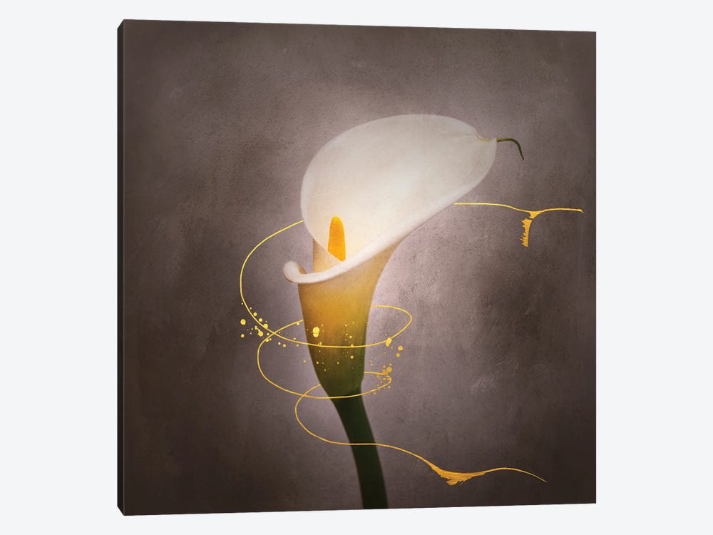 Graceful Flower - Calla No. 4 | Vintage Style Gold by Melanie Viola 1-piece Canvas Art