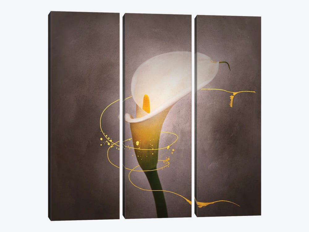 Graceful Flower - Calla No. 4 | Vintage Style Gold by Melanie Viola 3-piece Canvas Wall Art