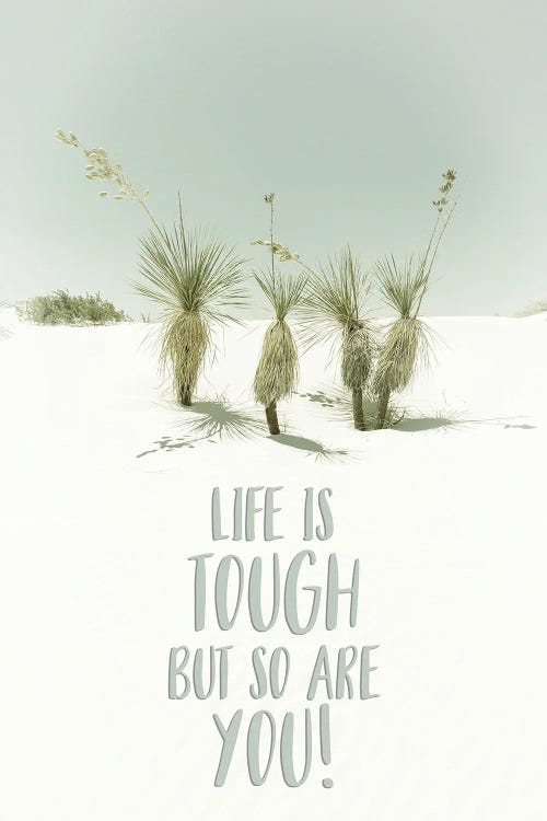 Life Is Tough But So Are You | Desert Impression