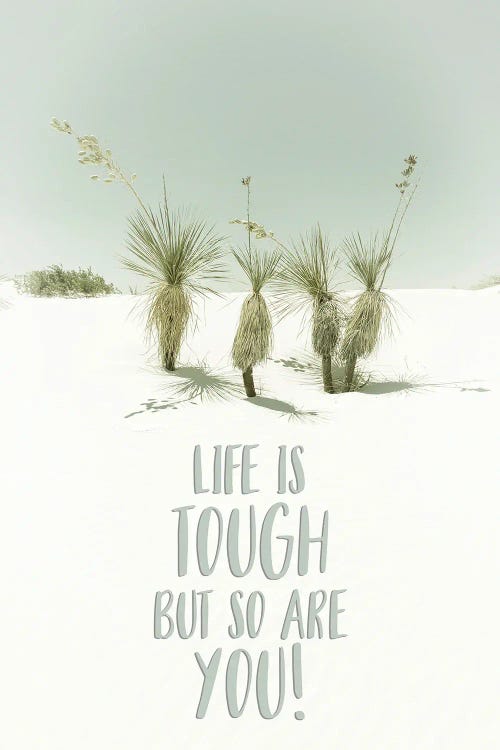 Life Is Tough But So Are You | Desert Impression by Melanie Viola wall art