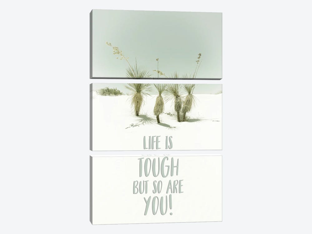 Life Is Tough But So Are You | Desert Impression by Melanie Viola 3-piece Canvas Artwork