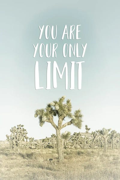 You Are Your Only Limit | Desert Impression by Melanie Viola canvas print