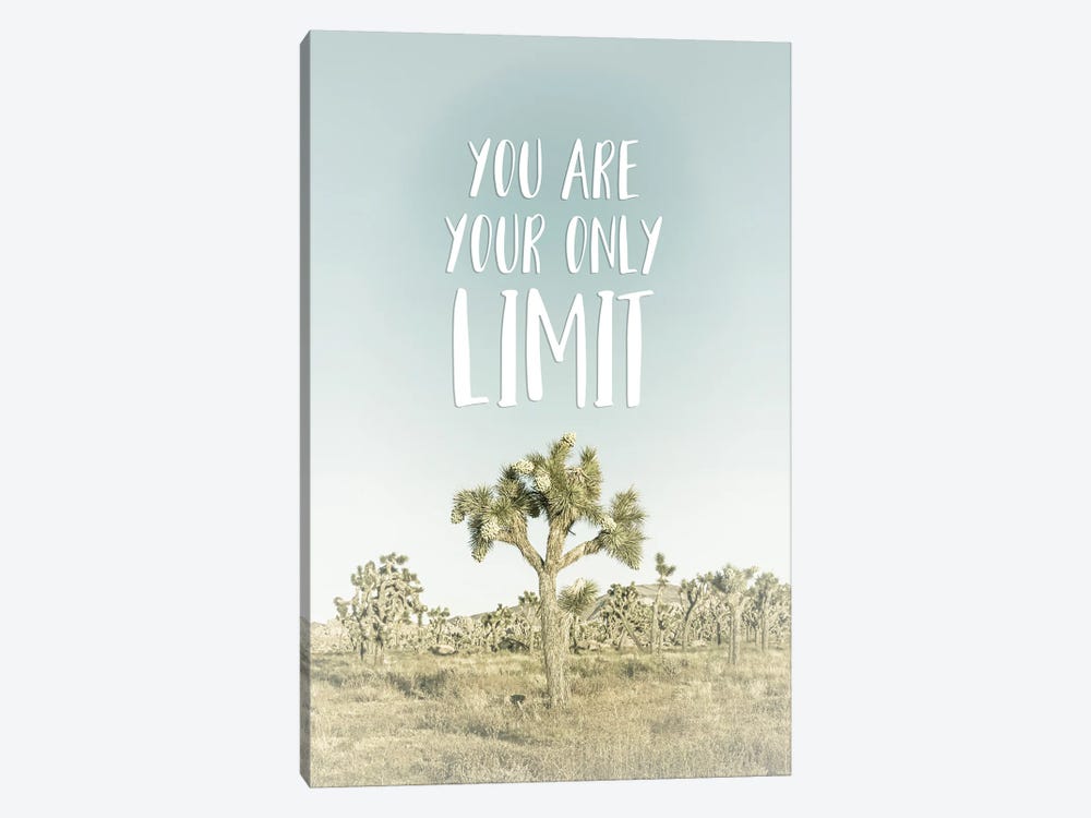 You Are Your Only Limit | Desert Impression by Melanie Viola 1-piece Canvas Art Print