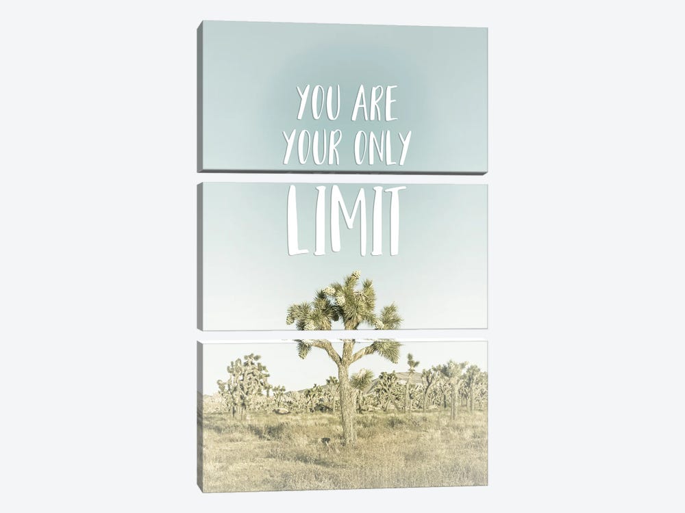 You Are Your Only Limit | Desert Impression by Melanie Viola 3-piece Canvas Print