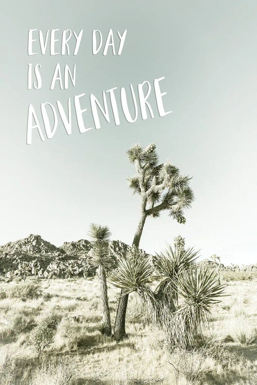 Every Day Is An Adventure | Desert Impression