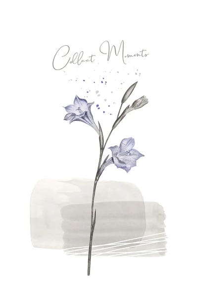 Collect Moments - Japandi Style