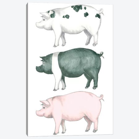 Piggy Wiggy Set Canvas Print #MEZ12} by Andi Metz Canvas Print
