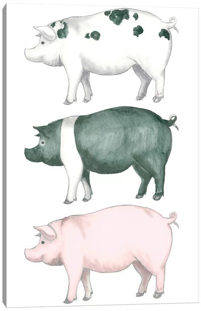 Piggy Wiggy Set Canvas Art Print - Andi Metz
