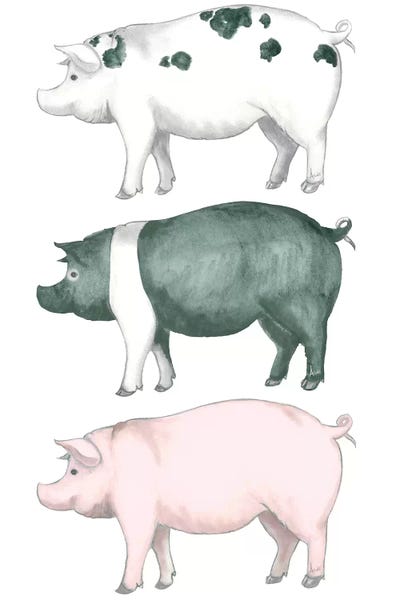 Pigs: Piggy Wiggy Set by Andi Metz