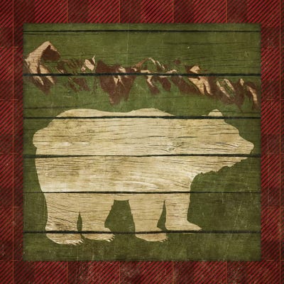 Rustic Nature on Plaid I by Andi Metz acrylic art print