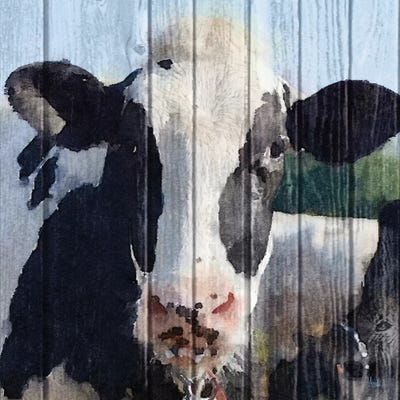 Sweet Daisy II by Andi Metz canvas print