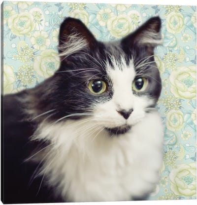 Cat on Paisley Canvas Art Print - Tuxedo Cat Art