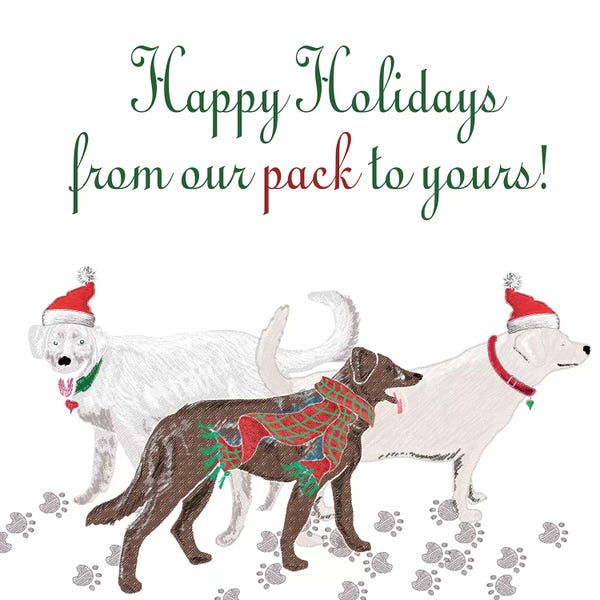 Home For The Holidays: Woof Holiday Pack I by Andi Metz