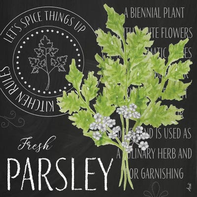 Garden Grown Herbs I by Andi Metz framed wall art