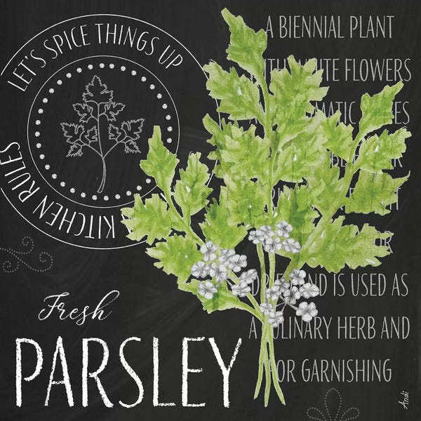 Gardening: Garden Grown Herbs I by Andi Metz