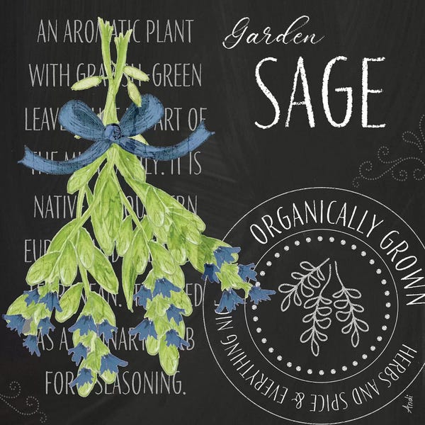 Andi Metz: Garden Grown Herbs II by Andi Metz
