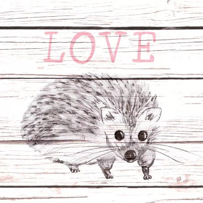 Hedgehog Love by Andi Metz art print