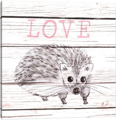 Hedgehog Love Canvas Art Print - Hedgehogs