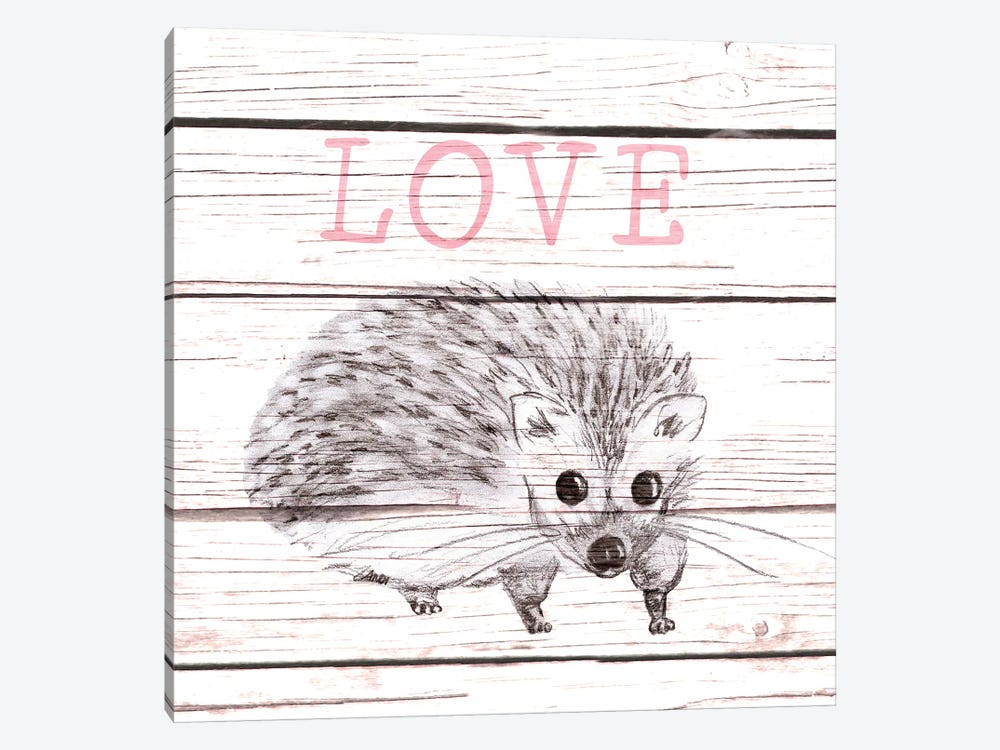 Hedgehog Love by Andi Metz 1-piece Canvas Print