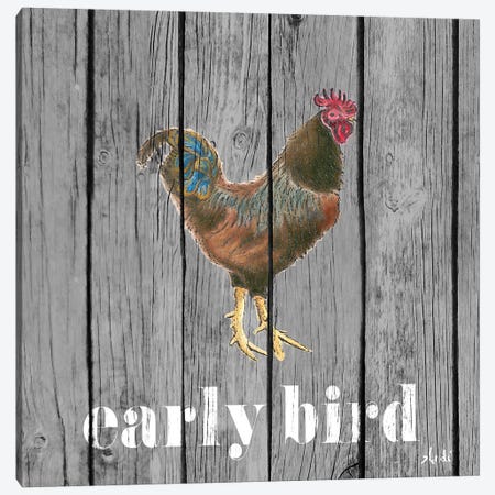 Early Bird Rooster Canvas Print #MEZ8} by Andi Metz Canvas Wall Art