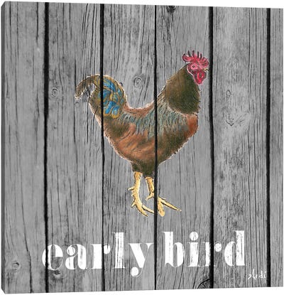 Early Bird Rooster Canvas Art Print - Andi Metz