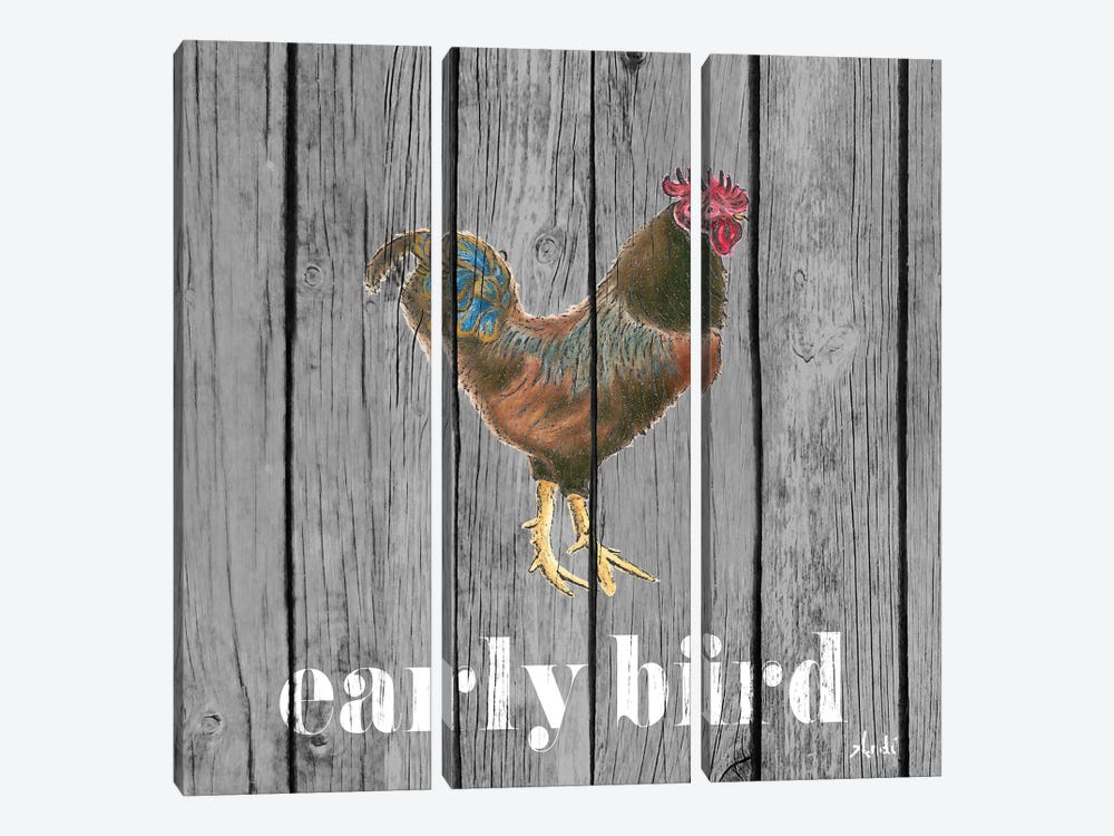 Early Bird Rooster by Andi Metz 3-piece Canvas Artwork
